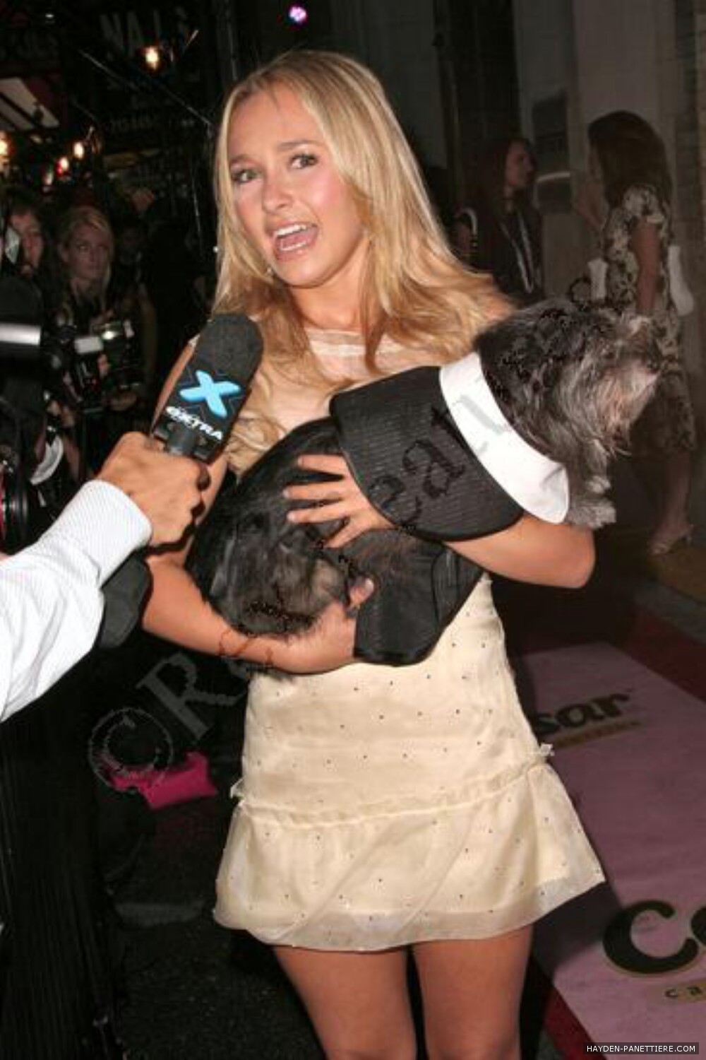 157.jpg 157.jpg