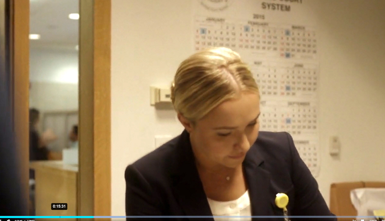 haydenpanettiere-custody1350.jpg