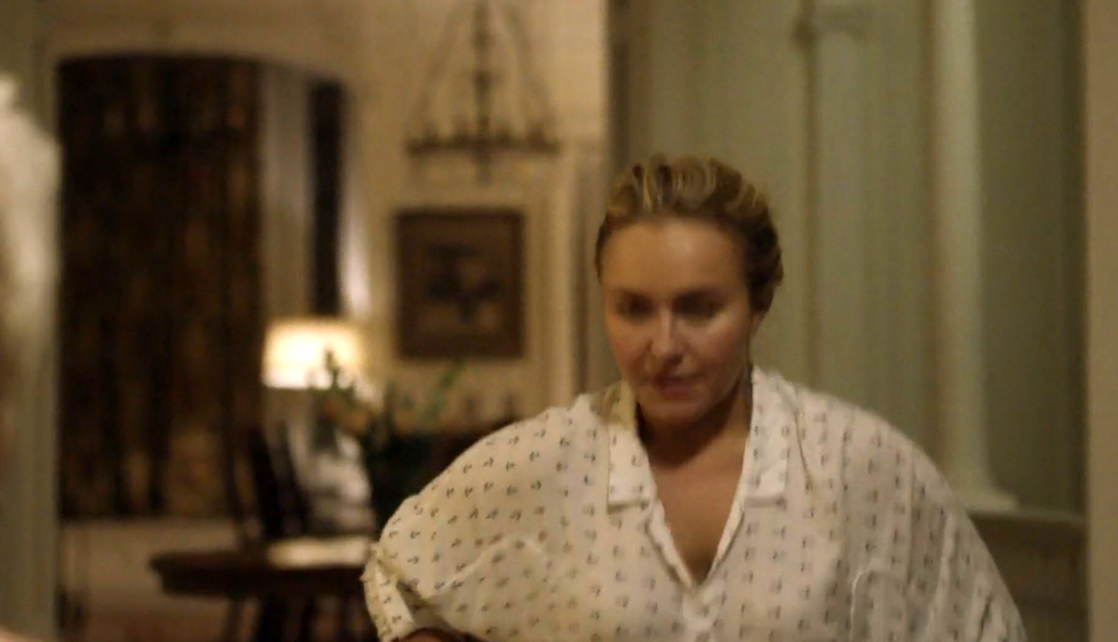 haydenpanettiere-custody3882.jpg