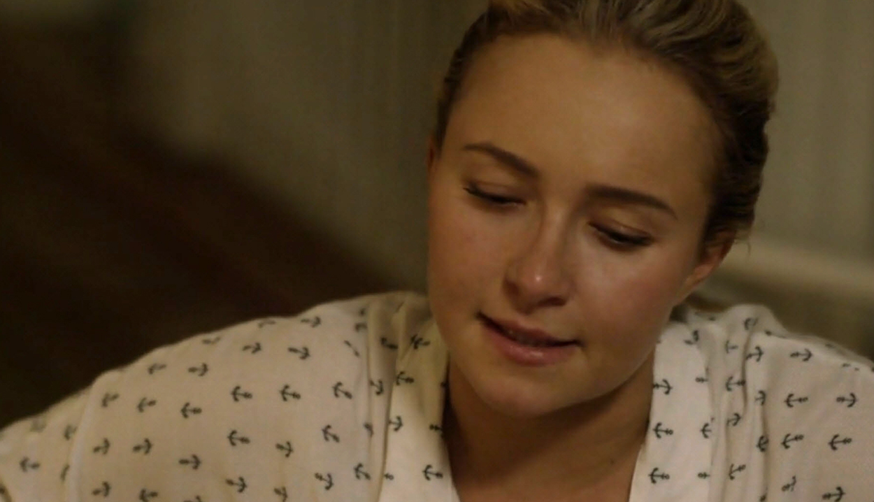 haydenpanettiere-custody4070.jpg
