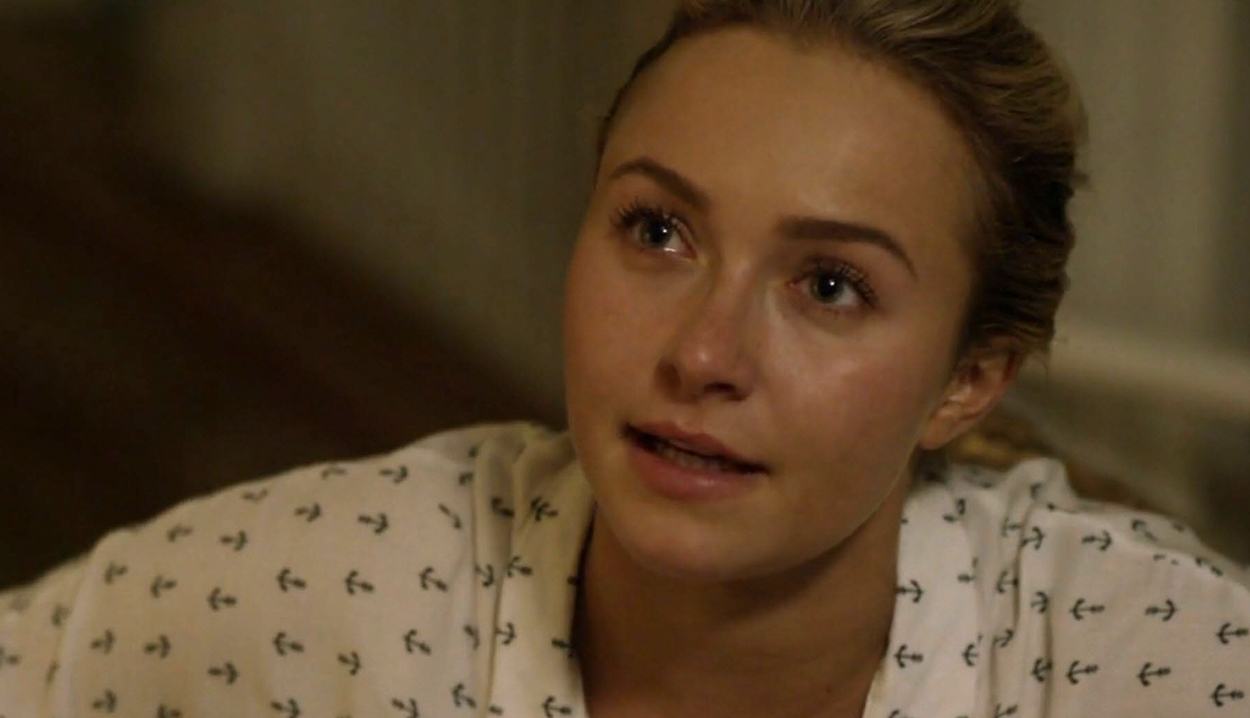 haydenpanettiere-custody4079.jpg