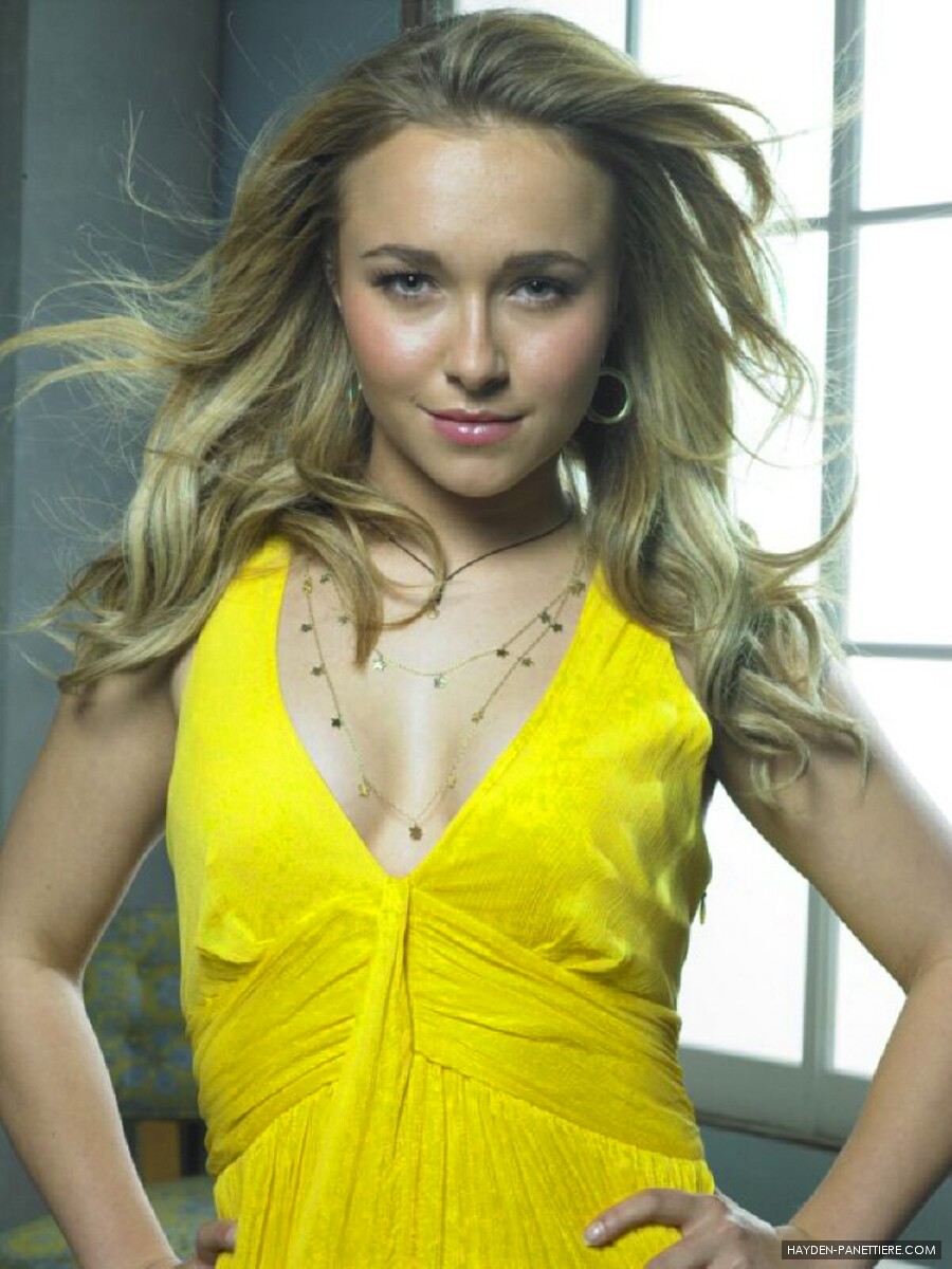 hayden01.jpg