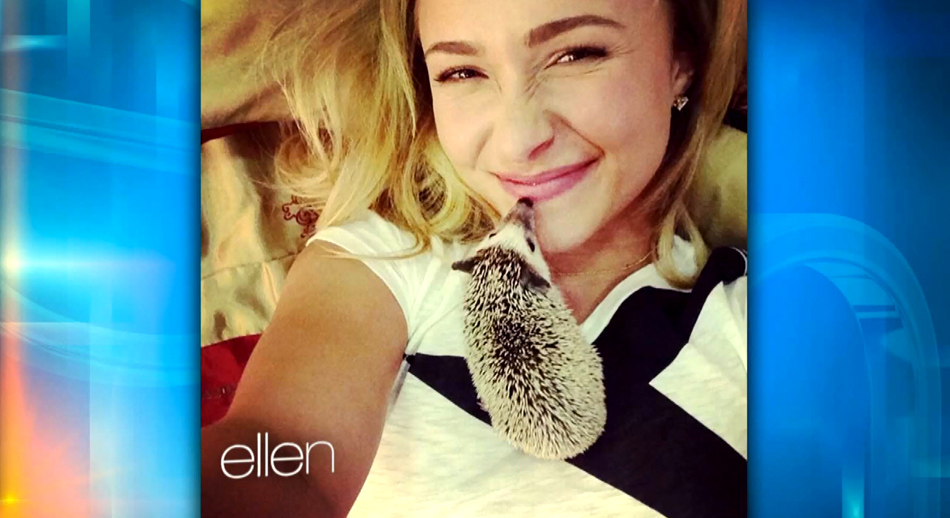 haydenpanettiere_ellen_nov2013_0208.jpg