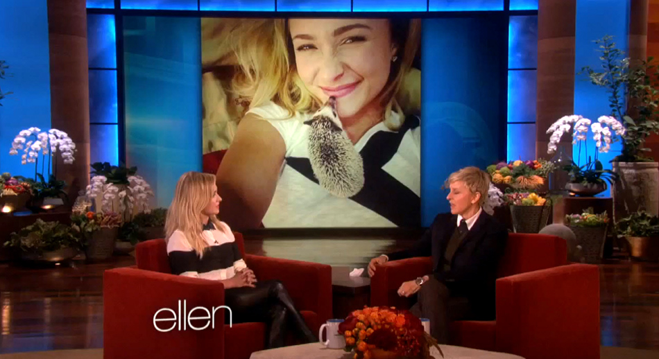 haydenpanettiere_ellen_nov2013_0231.jpg haydenpanettiere_ellen_nov2013_0231.jpg