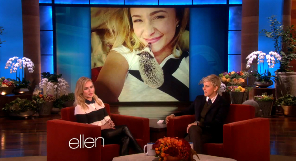 haydenpanettiere_ellen_nov2013_0242.jpg haydenpanettiere_ellen_nov2013_0242.jpg