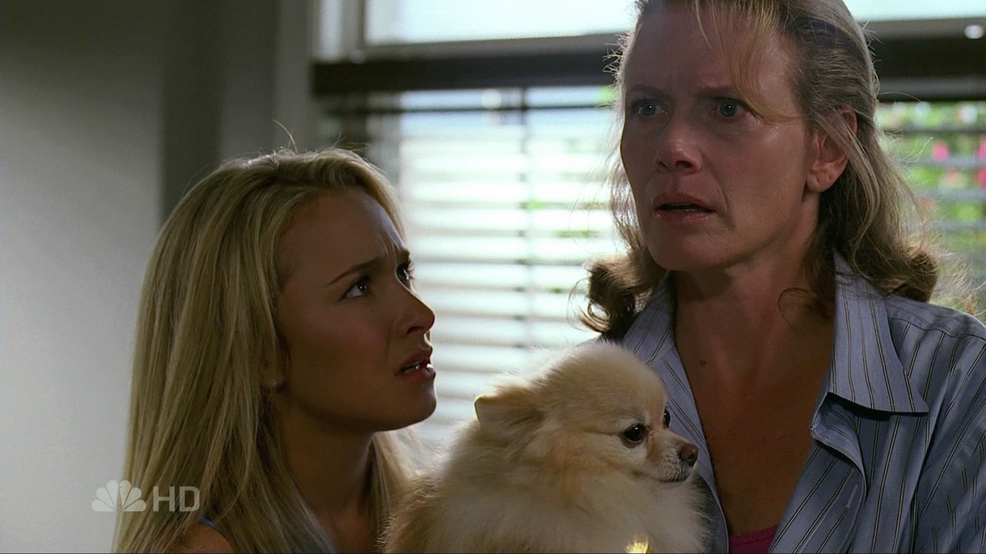 HaydenPanettiere_Heroes_S02E09_HDTV_040.jpg HaydenPanettiere_Heroes_S02E09_HDTV_040.jpg