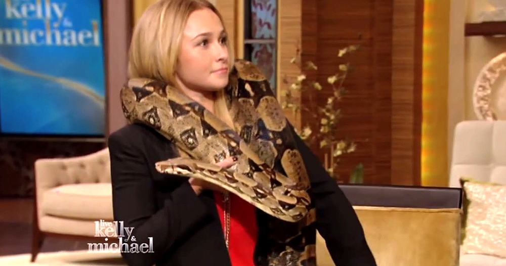 haydenpanettiere_snake_0078.jpg haydenpanettiere_snake_0078.jpg