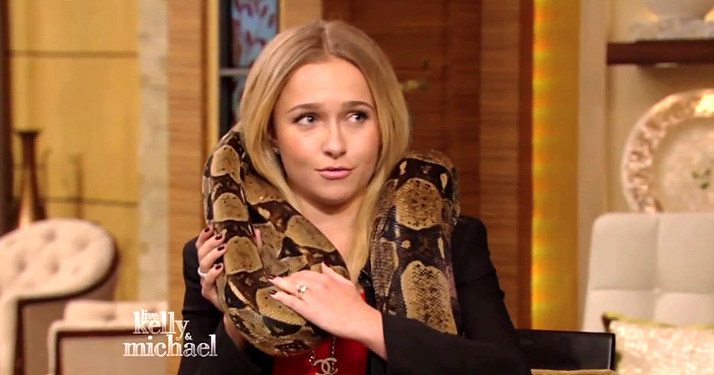 haydenpanettiere_snake_0086.jpg haydenpanettiere_snake_0086.jpg