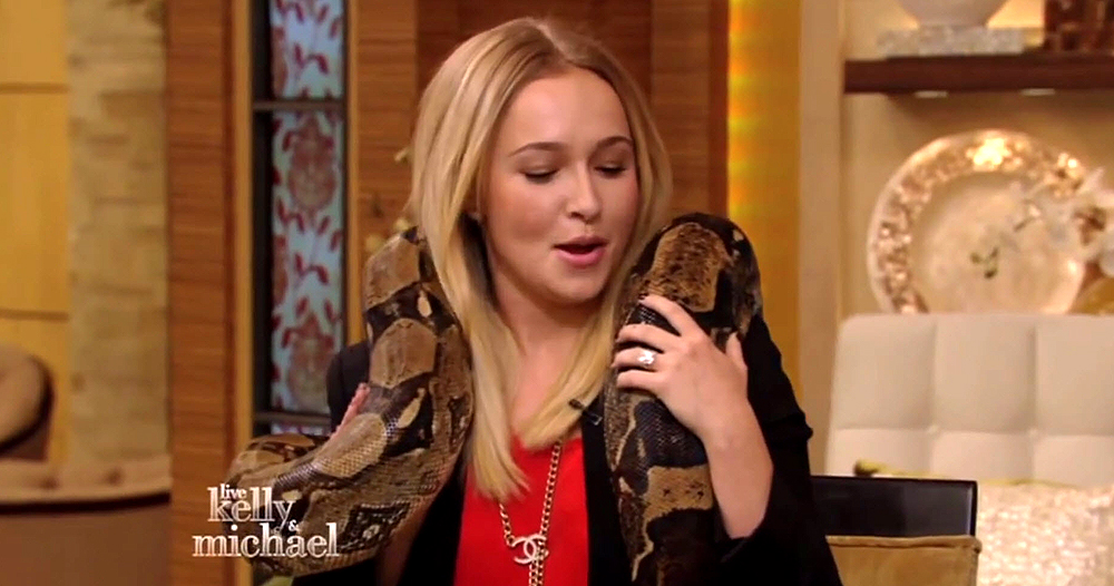 haydenpanettiere_snake_0227.jpg haydenpanettiere_snake_0227.jpg