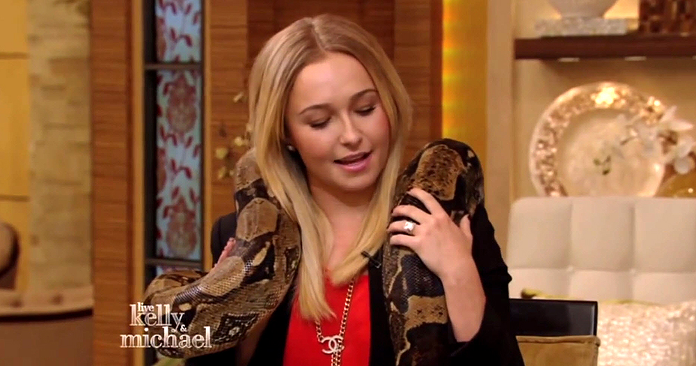 haydenpanettiere_snake_0229.jpg haydenpanettiere_snake_0229.jpg