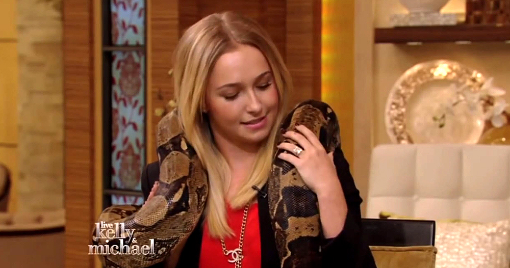 haydenpanettiere_snake_0232.jpg haydenpanettiere_snake_0232.jpg