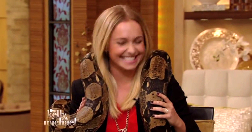 haydenpanettiere_snake_0238.jpg haydenpanettiere_snake_0238.jpg