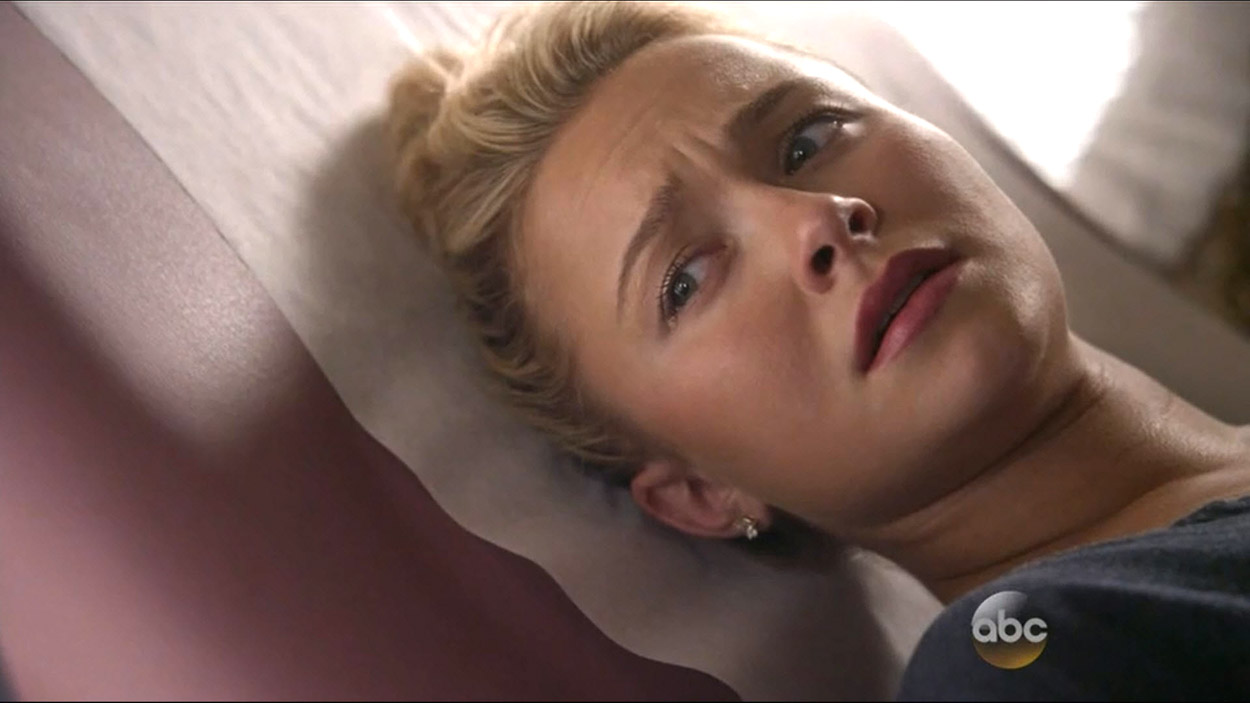 nashville_haydenpanettiere01613.jpg