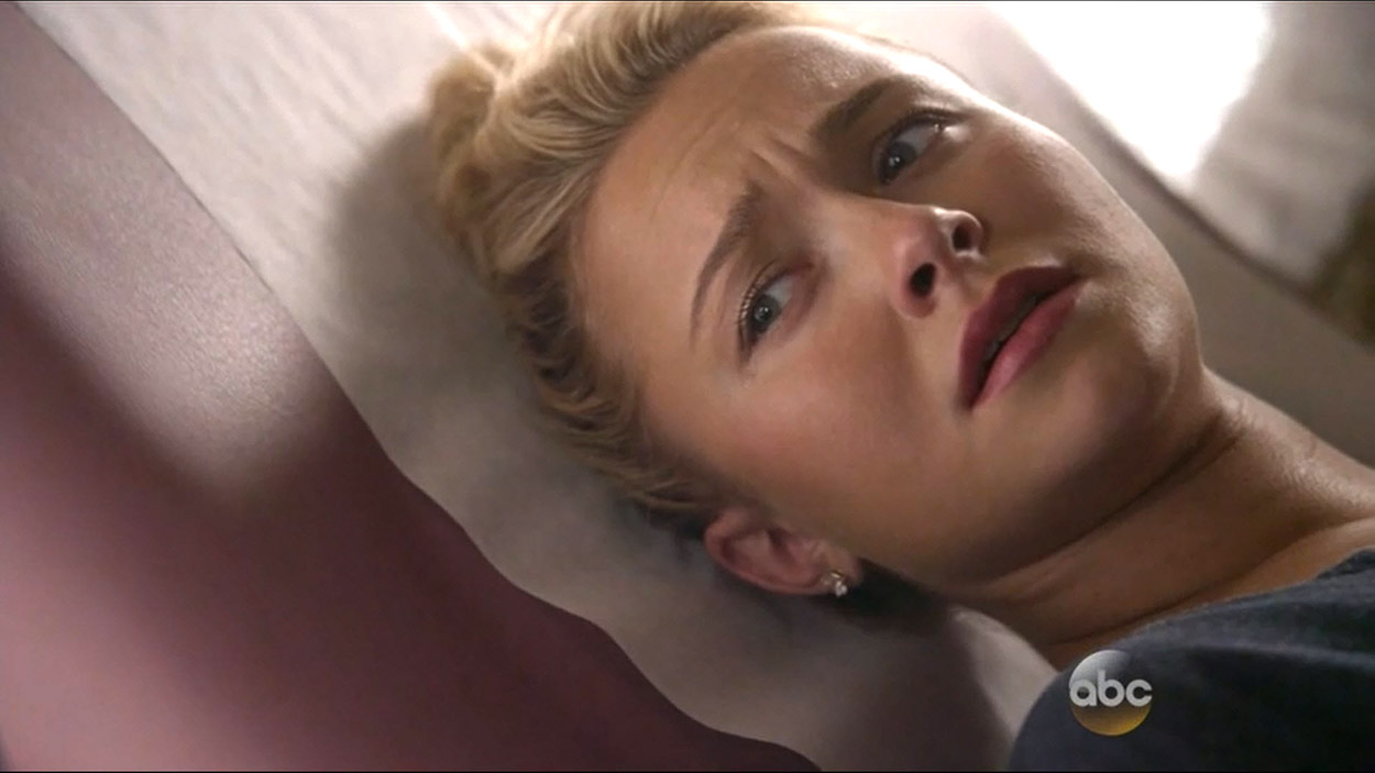 nashville_haydenpanettiere01614.jpg