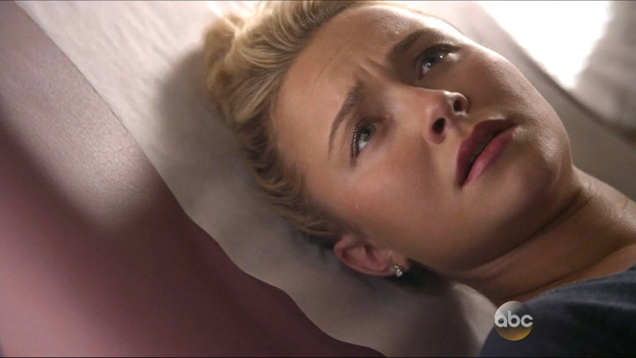 nashville_haydenpanettiere01615.jpg