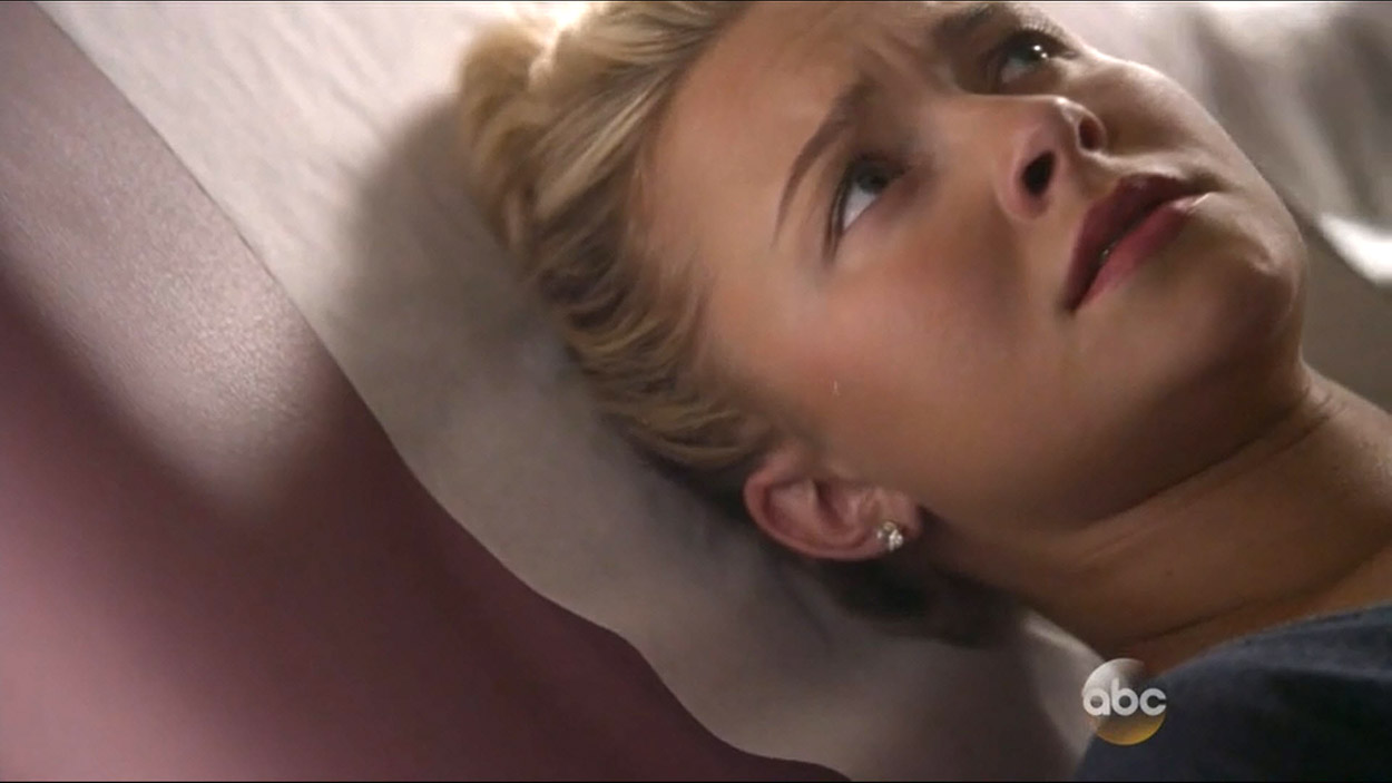 nashville_haydenpanettiere01616.jpg