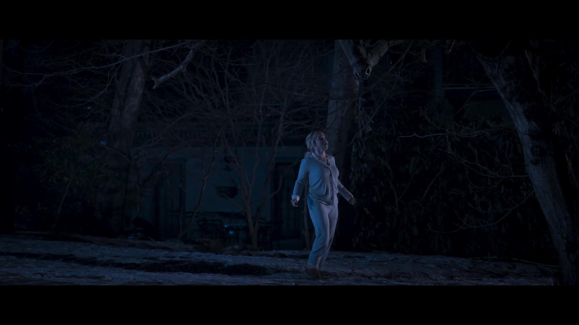 Sleepwalker_2026_1080p_HPS_002218.jpg Sleepwalker_2026_1080p_HPS_002218.jpg