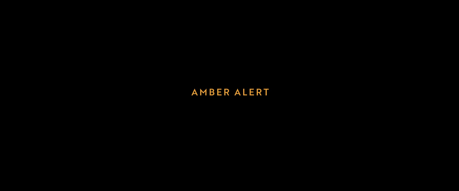 Amber_Alert_2024_1080p_HPS_000500.jpg Amber_Alert_2024_1080p_HPS_000500.jpg